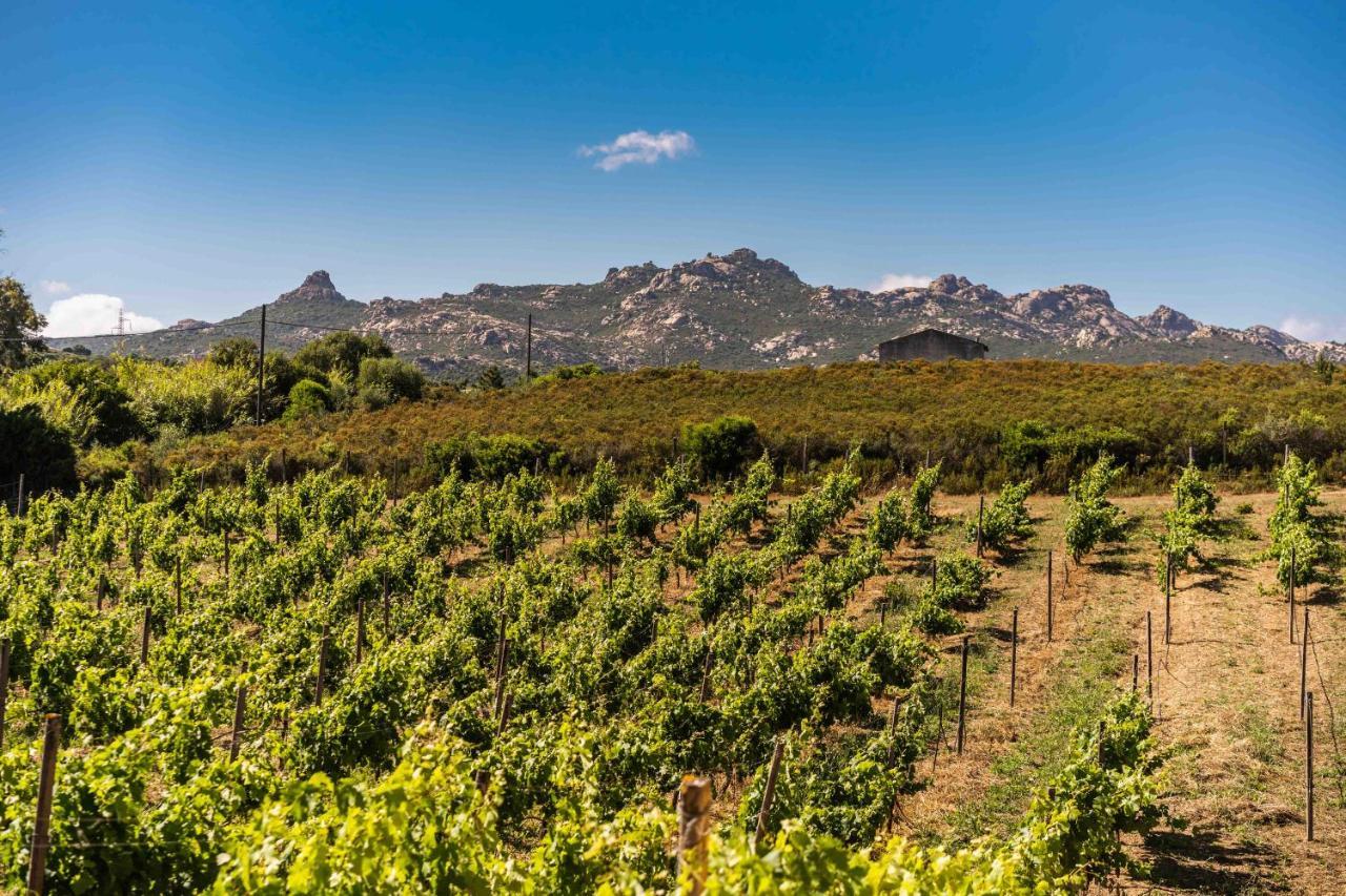 Locanda In Vigna Arzachena Ngoại thất bức ảnh
