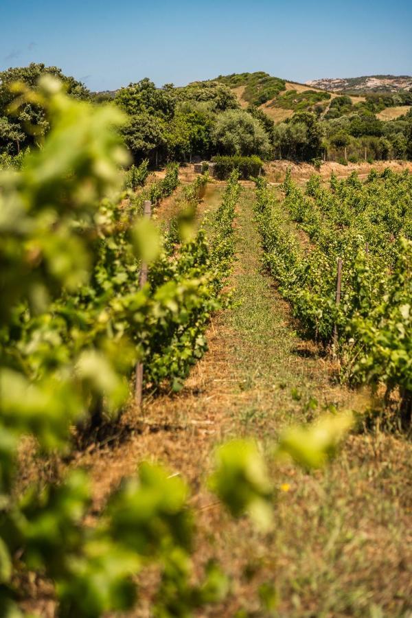 Locanda In Vigna Arzachena Ngoại thất bức ảnh