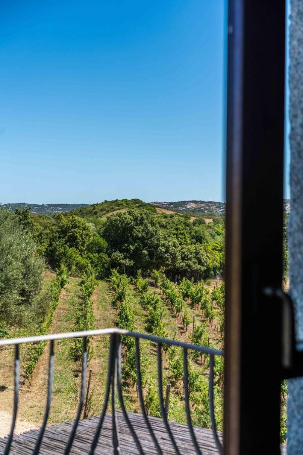 Locanda In Vigna Arzachena Ngoại thất bức ảnh